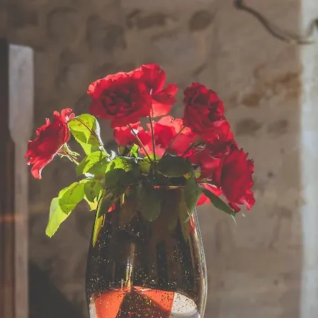Domaine De Garat