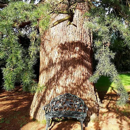 Bed & Breakfast Domaine De Garat 4*