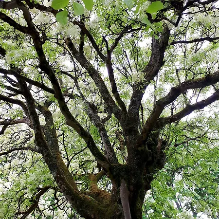 Domaine De Garat Panzió 3*